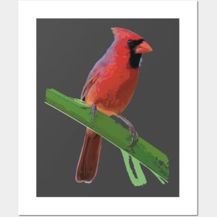 Northern Cardinal or Redbird Posters and Art